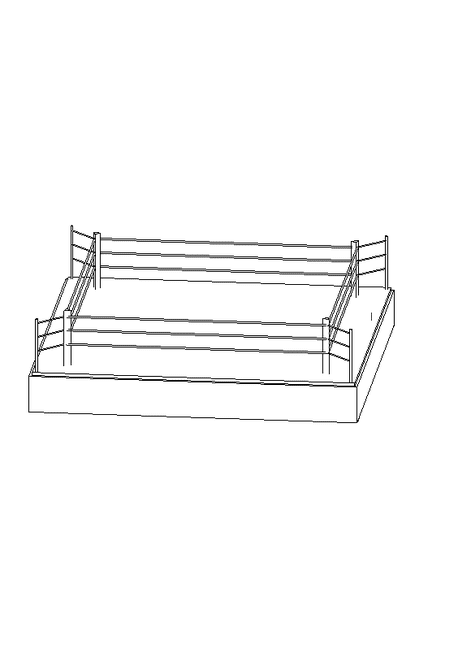 1 Amazing Pro Boxing Ring Revit Families 3D model for gym BIM design